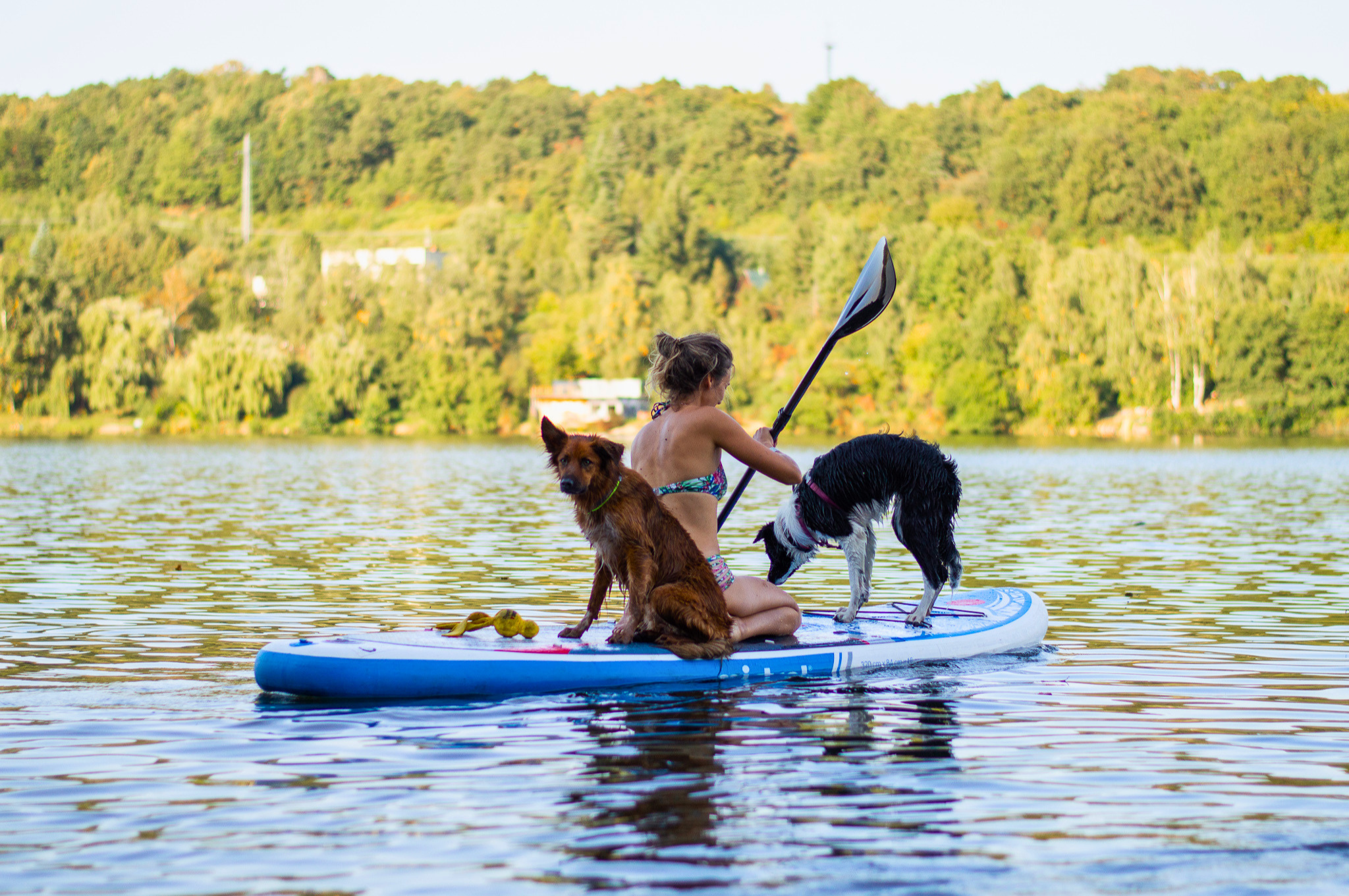 paddleboard so psom 2